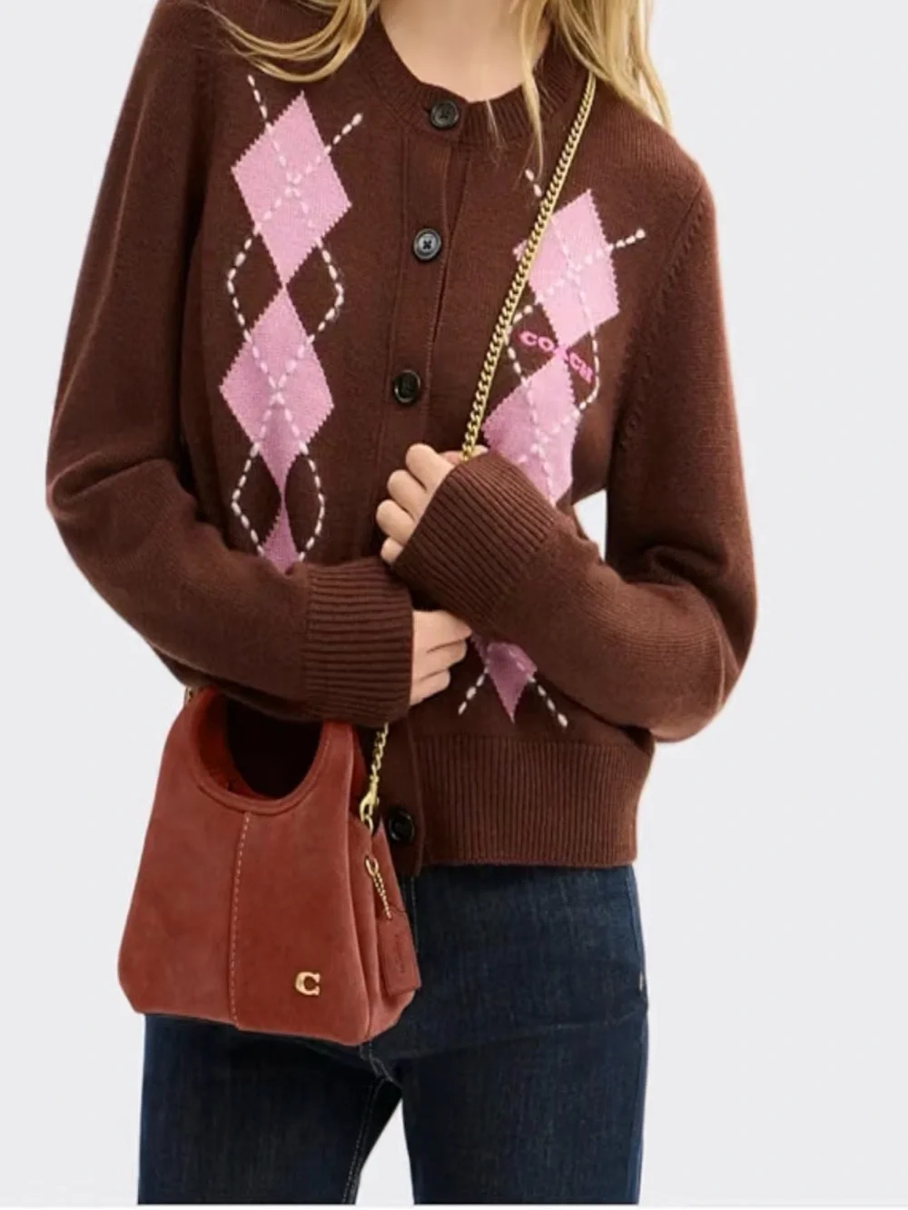 Coach Lana mini Suede shoulder bag 19